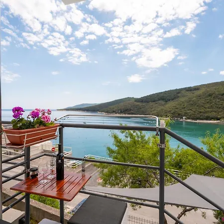 Apartament Markov